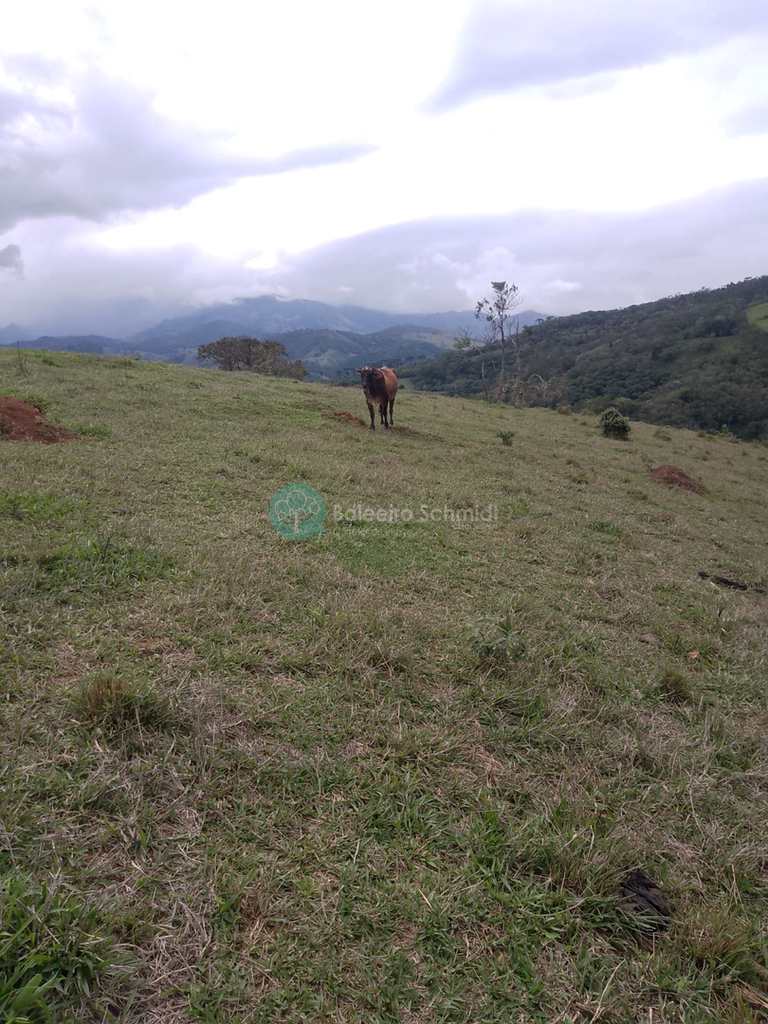 Sítio em Santo Antônio do Pinhal, no bairro Rural