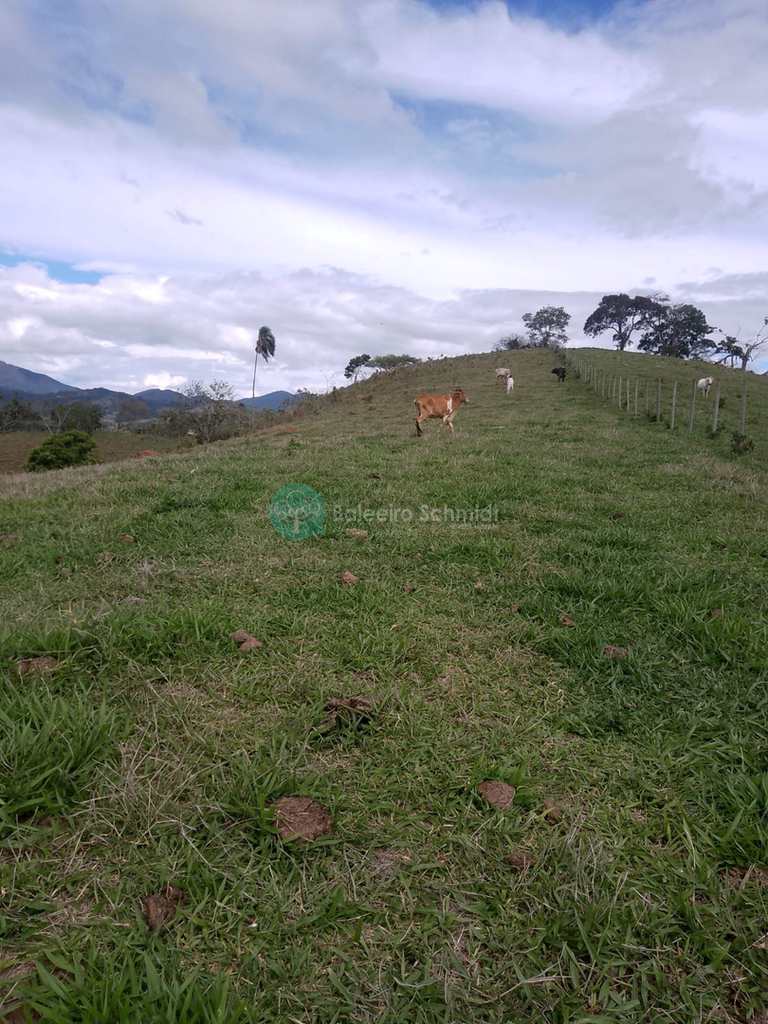 Sítio em Santo Antônio do Pinhal, no bairro Rural