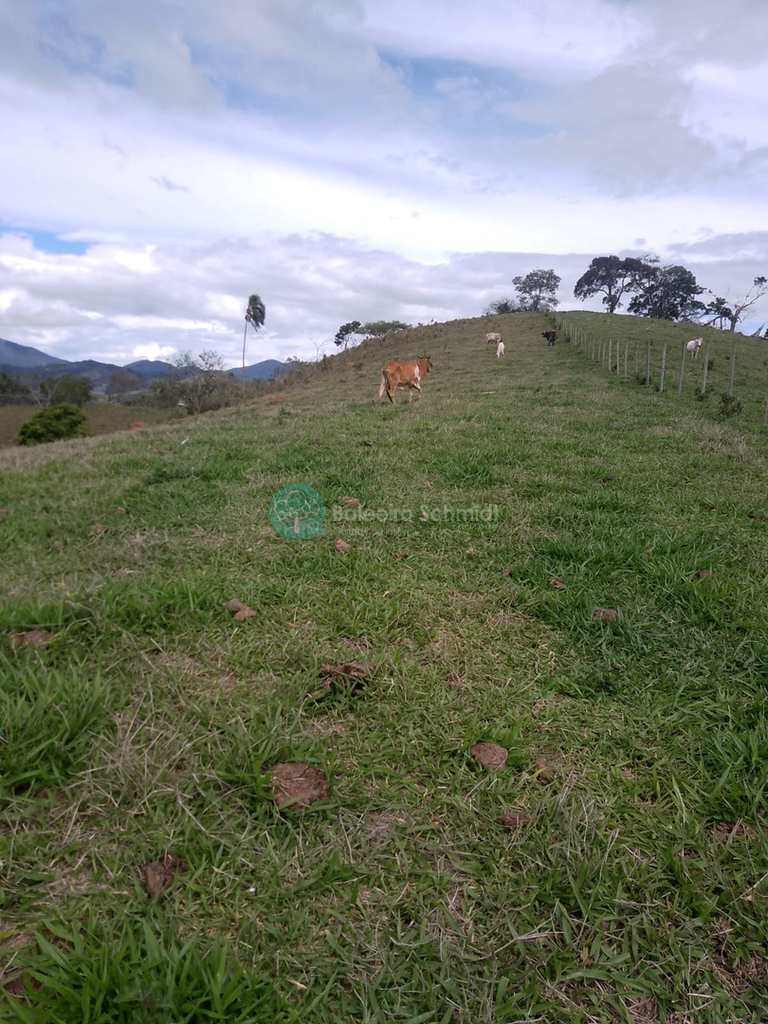 Sítio em Santo Antônio do Pinhal, no bairro Rural