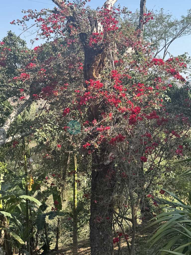 Sítio em São Bento do Sapucaí, no bairro Rural