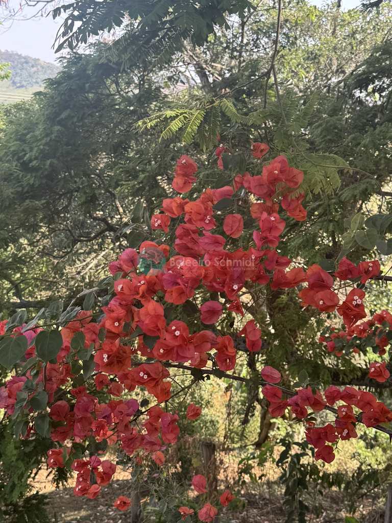 Sítio em São Bento do Sapucaí, no bairro Rural