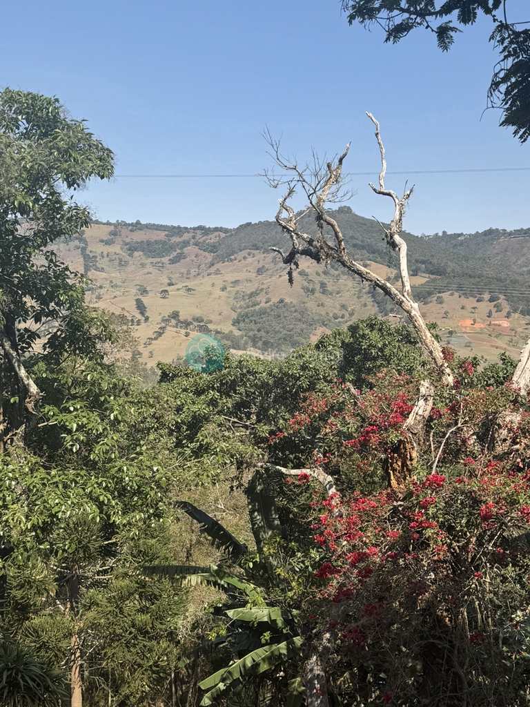 Sítio em São Bento do Sapucaí, no bairro Rural