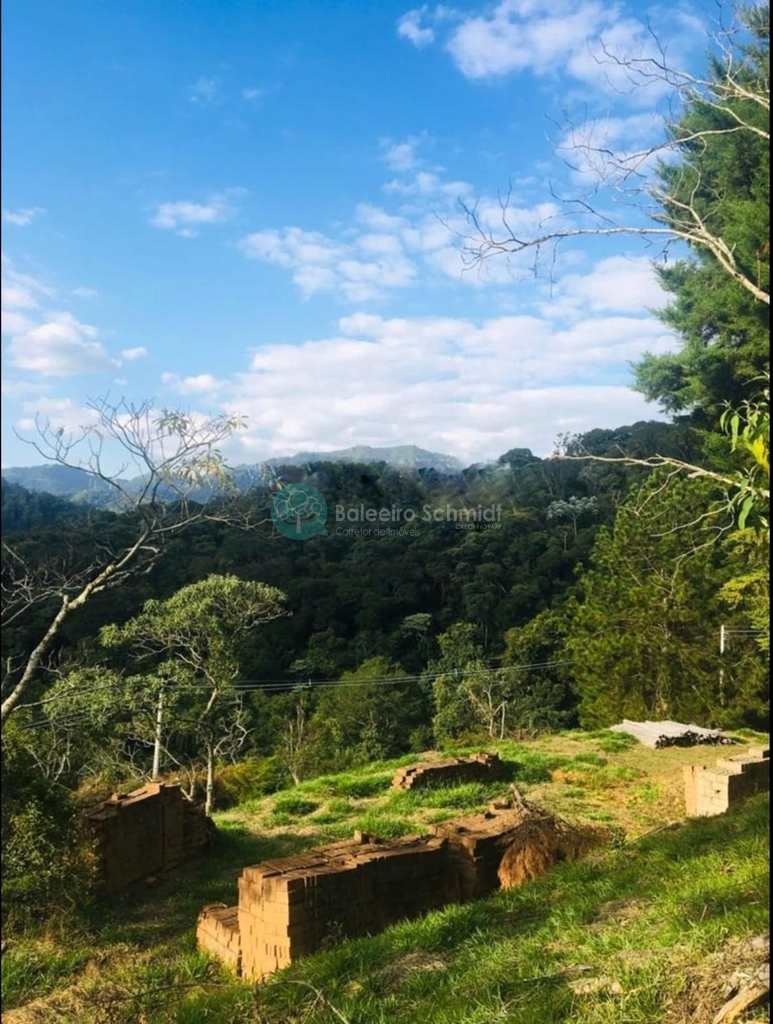 Terreno em Santo Antônio do Pinhal, no bairro Proximo Ao Centro