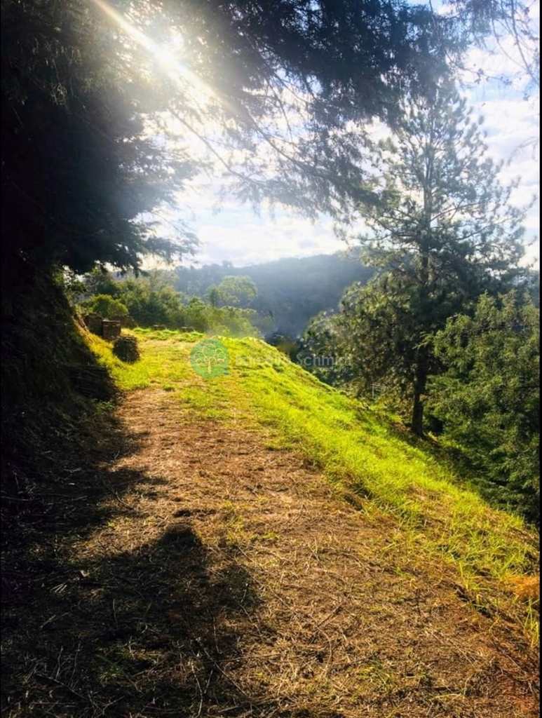 Terreno em Santo Antônio do Pinhal, no bairro Proximo Ao Centro