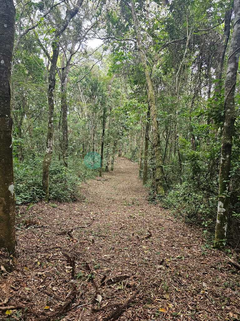Terreno em Santo Antônio do Pinhal, no bairro Proximo Ao Centro