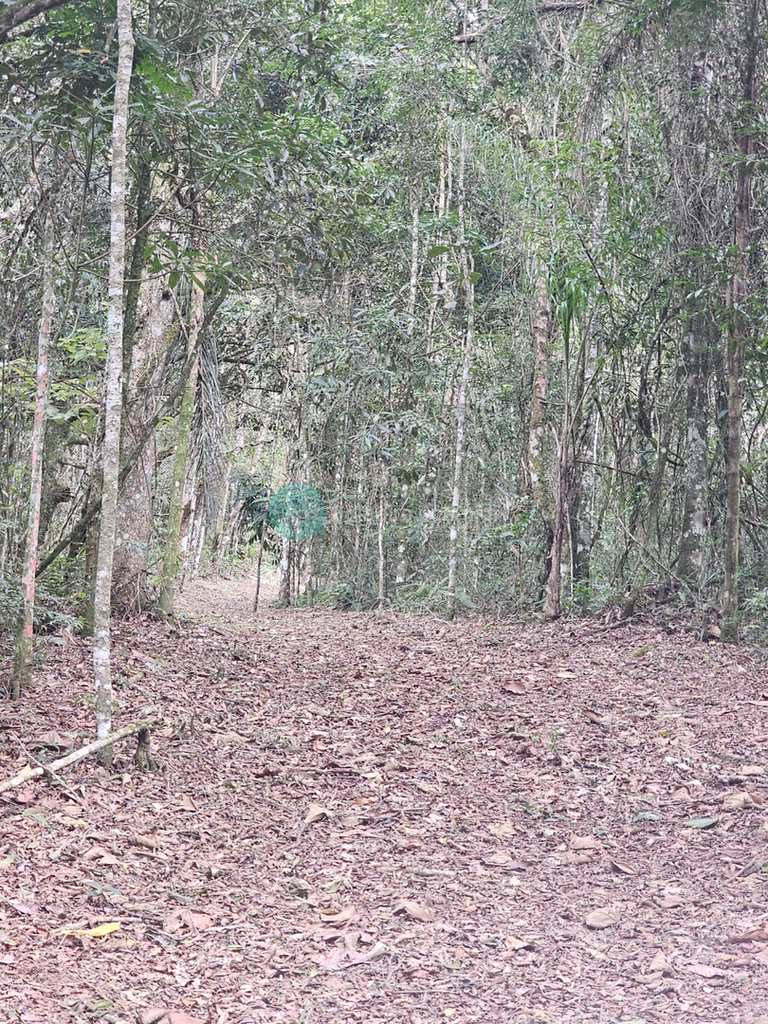 Terreno em Santo Antônio do Pinhal, no bairro Proximo Ao Centro