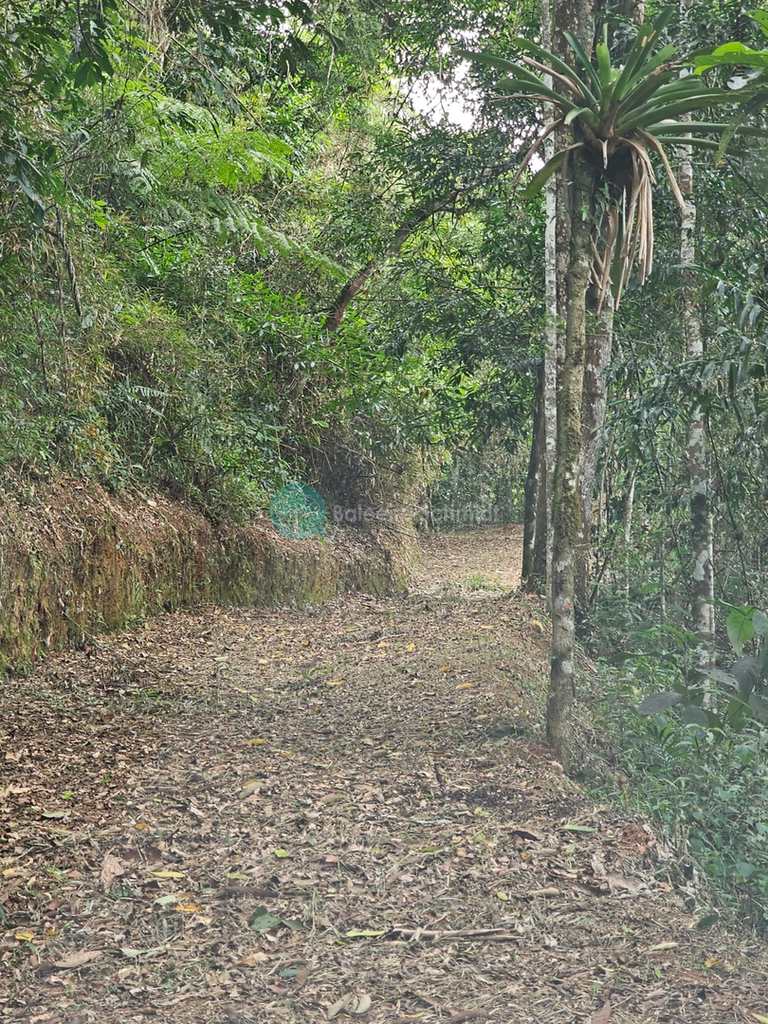Terreno em Santo Antônio do Pinhal, no bairro Proximo Ao Centro