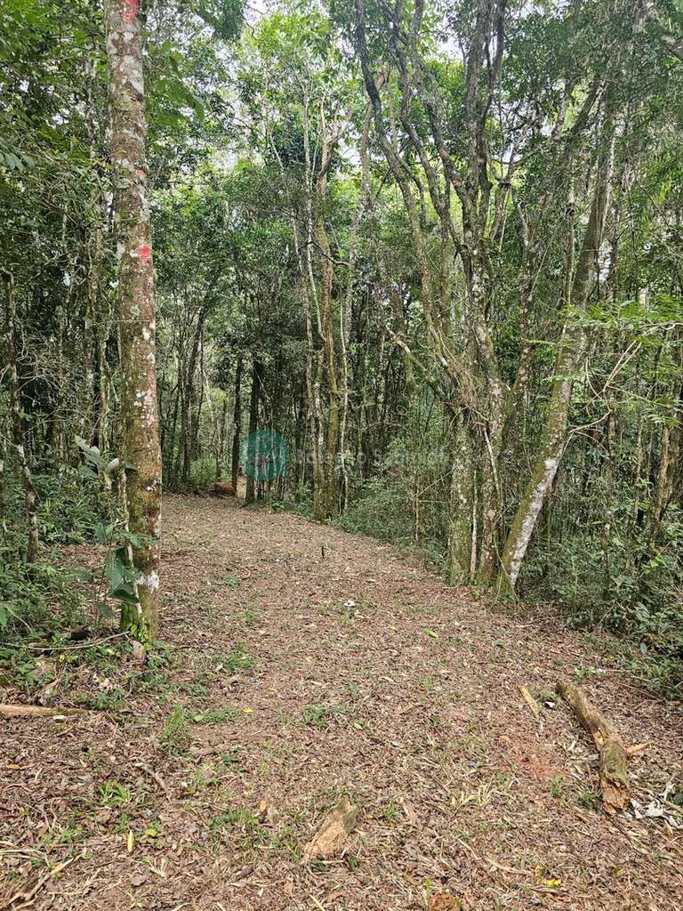 Terreno em Santo Antônio do Pinhal, no bairro Proximo Ao Centro