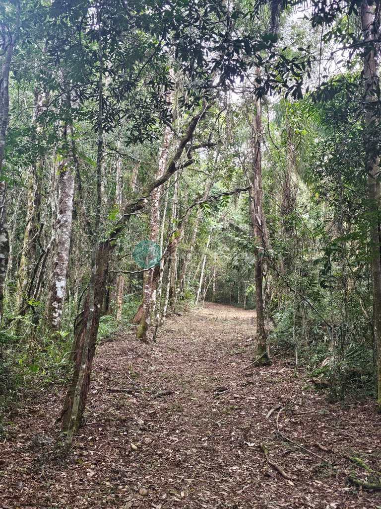 Terreno em Santo Antônio do Pinhal, no bairro Proximo Ao Centro