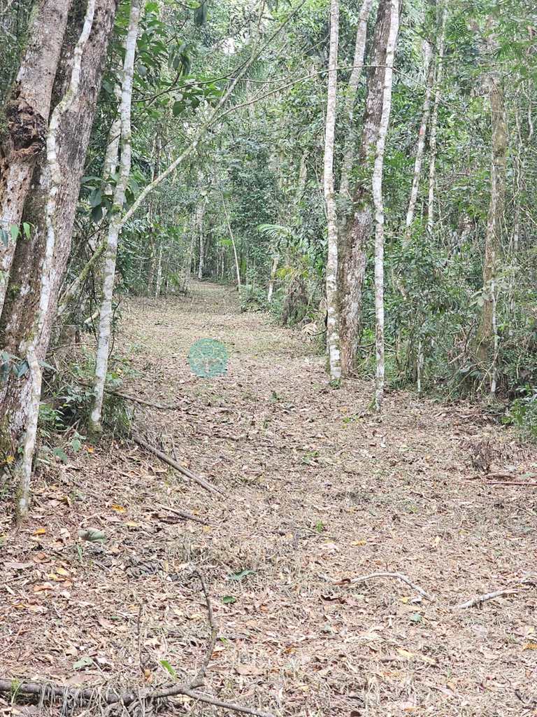 Terreno em Santo Antônio do Pinhal, no bairro Proximo Ao Centro