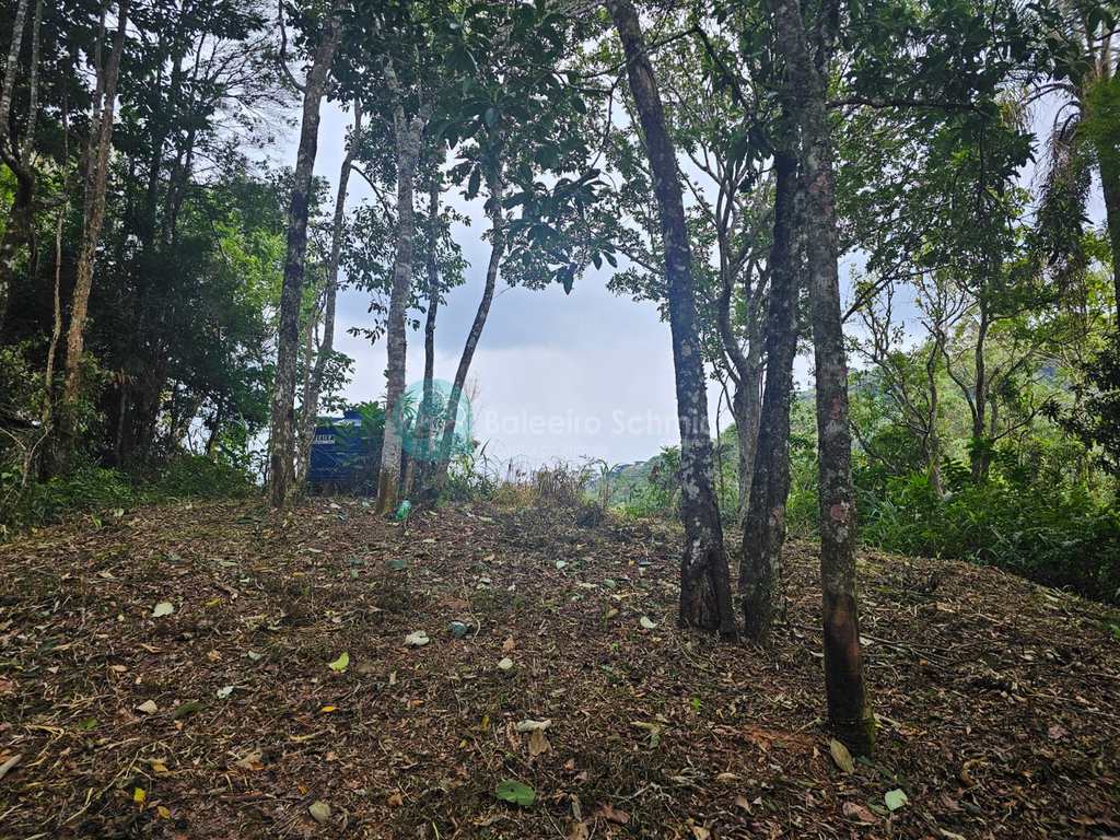 Terreno em Santo Antônio do Pinhal, no bairro Proximo Ao Centro