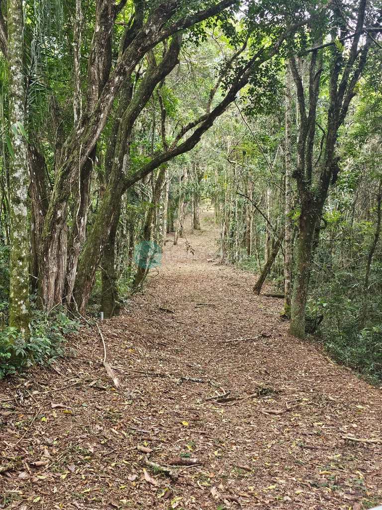 Terreno em Santo Antônio do Pinhal, no bairro Proximo Ao Centro