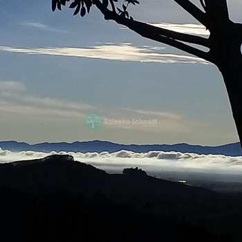 Sítio em Santo Antônio do Pinhal, bairro Santo Antonio do Pinhal