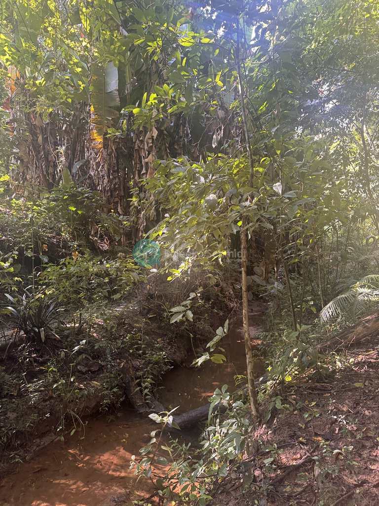 Sítio em Santo Antônio do Pinhal, no bairro Proximo Ao Centro