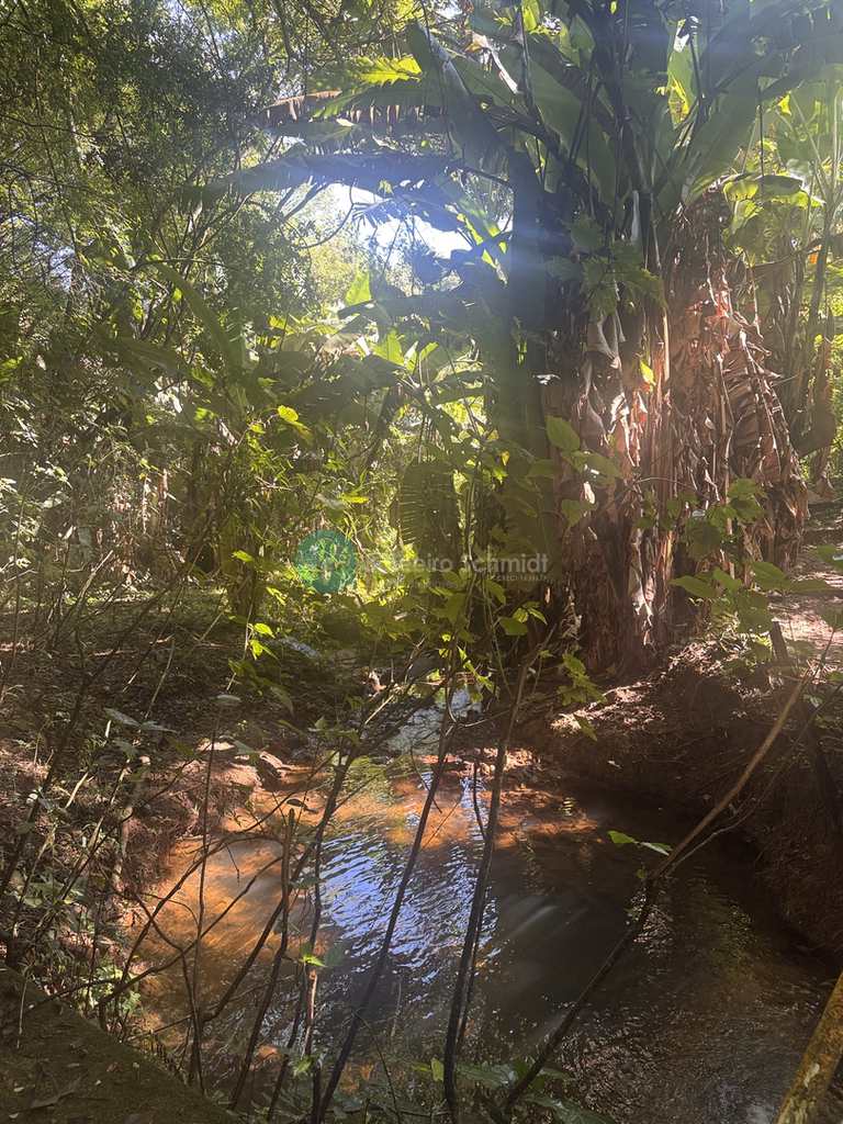 Sítio em Santo Antônio do Pinhal, no bairro Proximo Ao Centro
