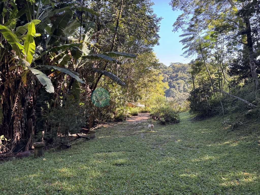 Sítio em Santo Antônio do Pinhal, no bairro Proximo Ao Centro