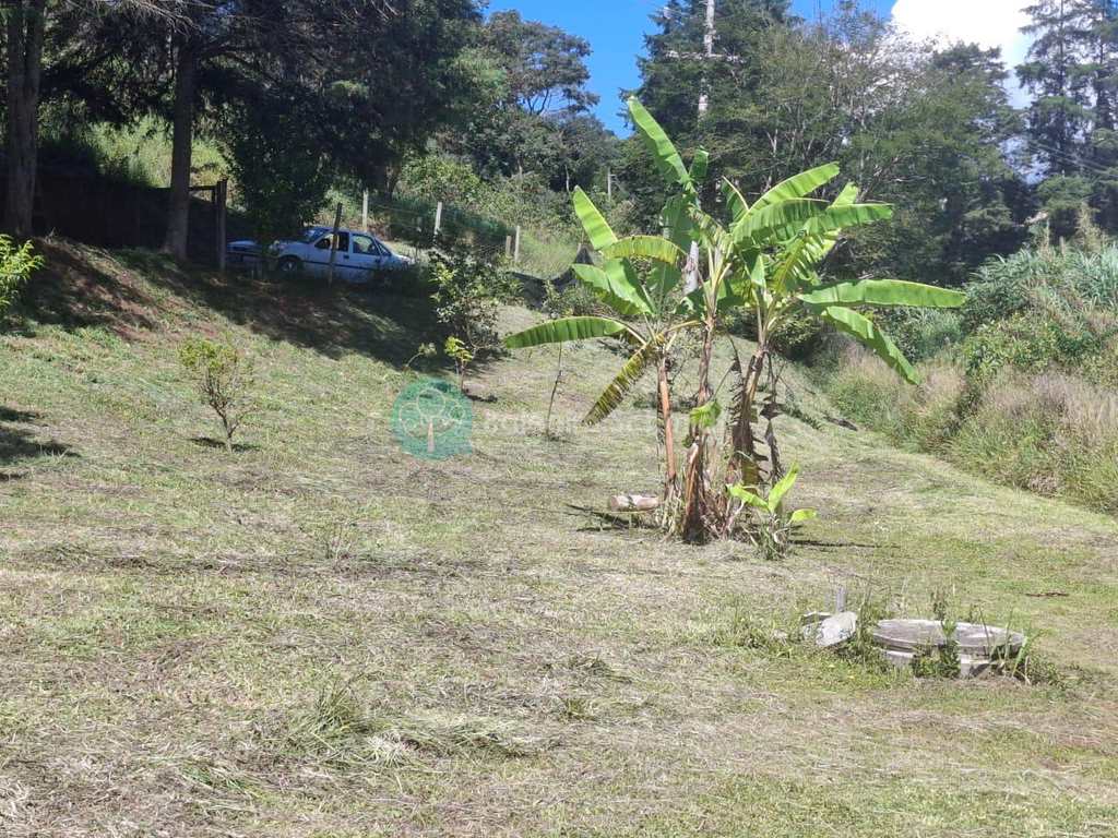 Casa em Santo Antônio do Pinhal, no bairro 10 Km do Centro