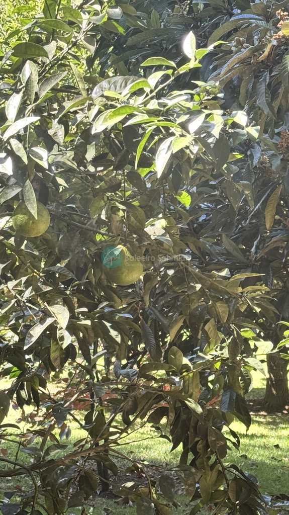 Casa de Condomínio em Santo Antônio do Pinhal, no bairro 11 Km do Centro