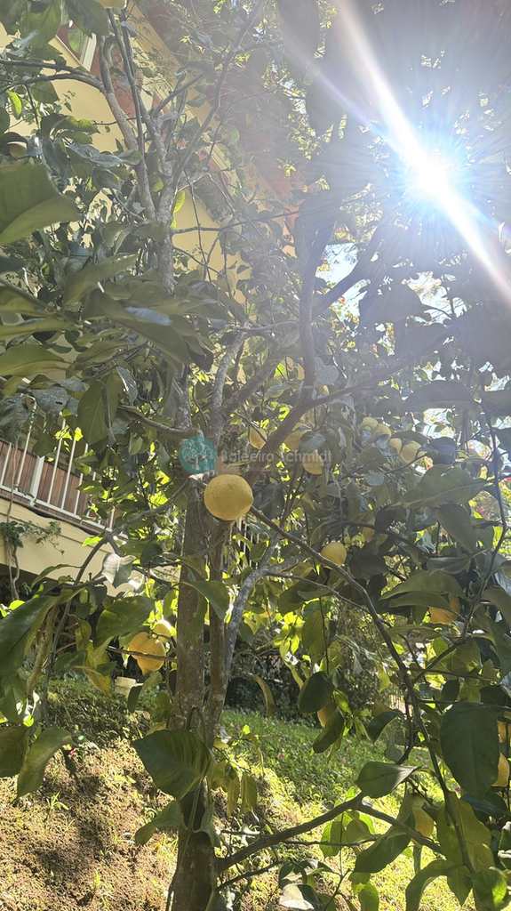 Casa de Condomínio em Santo Antônio do Pinhal, no bairro 11 Km do Centro