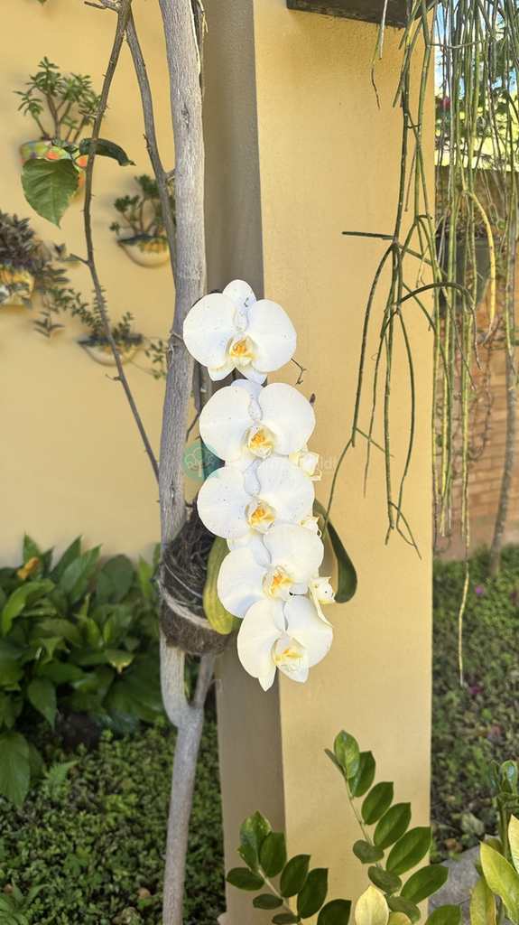 Casa de Condomínio em Santo Antônio do Pinhal, no bairro 11 Km do Centro