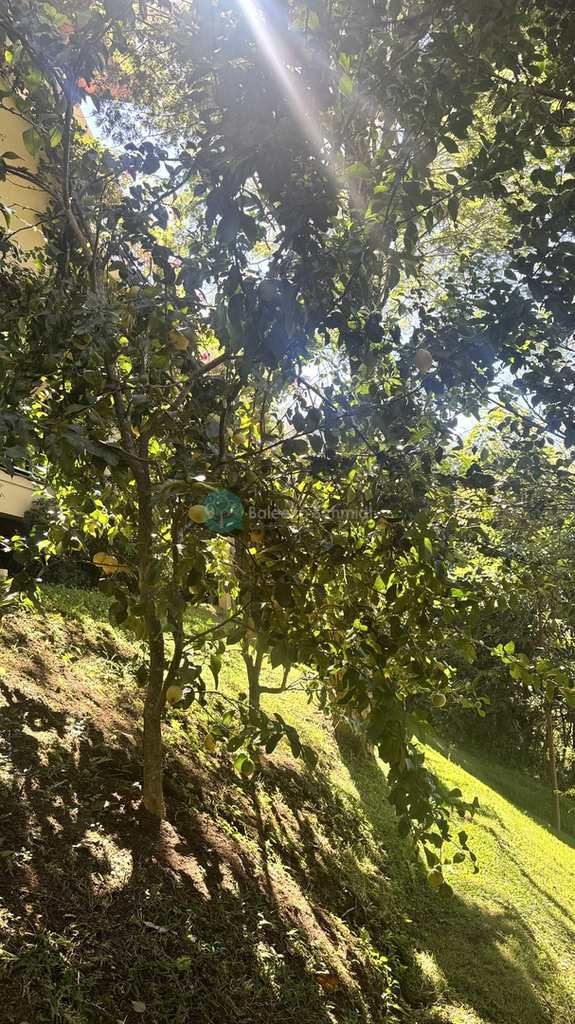 Casa de Condomínio em Santo Antônio do Pinhal, no bairro 11 Km do Centro