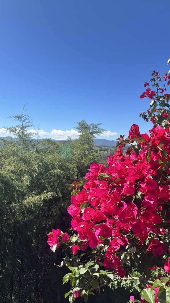 Casa de Condomínio em Santo Antônio do Pinhal, no bairro 11 Km do Centro