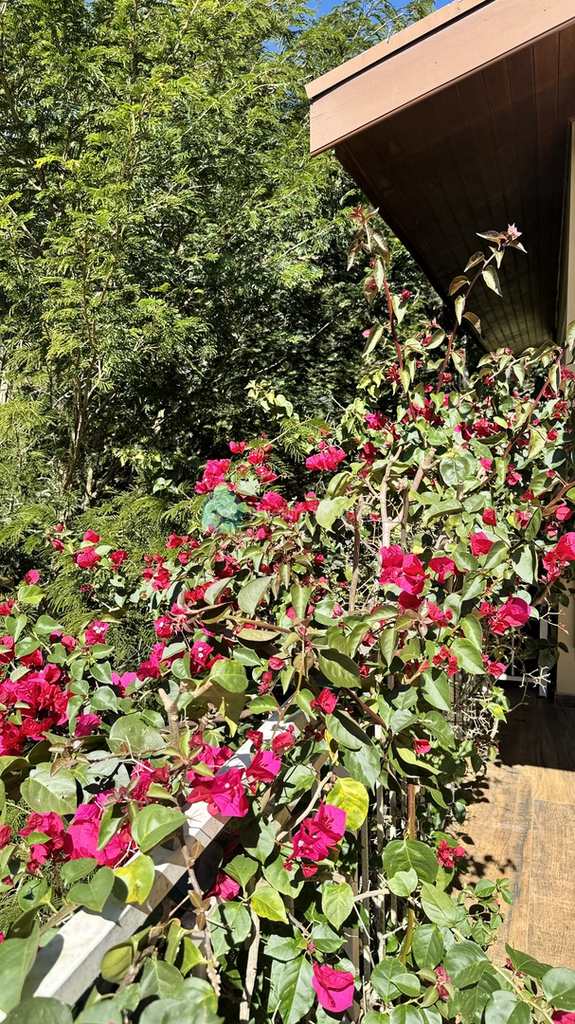 Casa de Condomínio em Santo Antônio do Pinhal, no bairro 11 Km do Centro