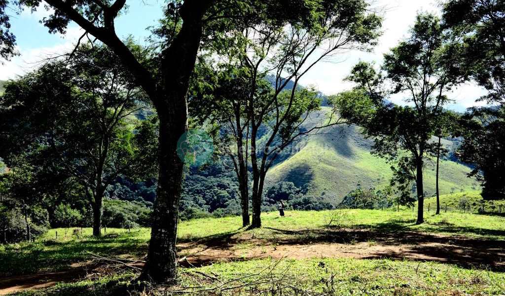 Terreno Rural em Sapucaí-Mirim, bairro Zona Rural