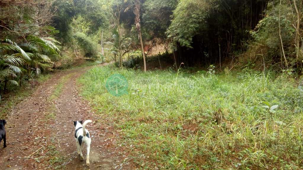 Sítio em Santo Antônio do Pinhal, no bairro Proximo Ao Centro