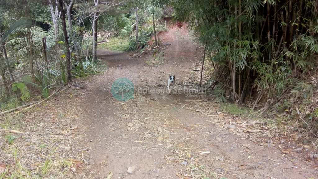 Sítio em Santo Antônio do Pinhal, no bairro Proximo Ao Centro