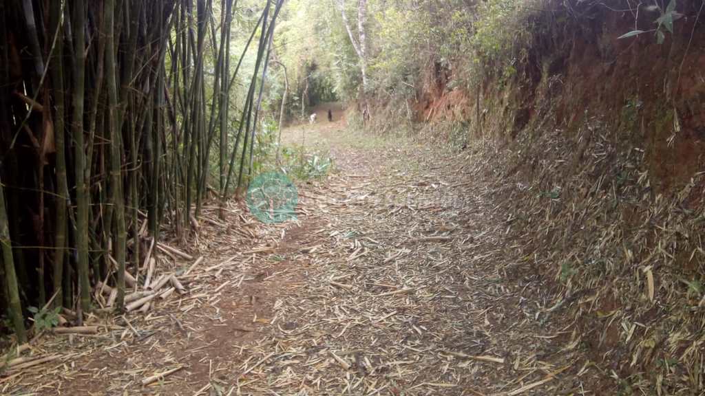 Sítio em Santo Antônio do Pinhal, no bairro Proximo Ao Centro