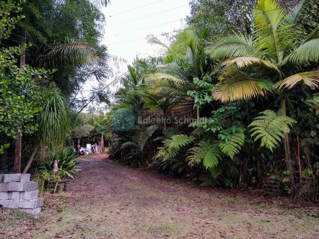 Sítio em Santo Antônio do Pinhal, no bairro Proximo Ao Centro