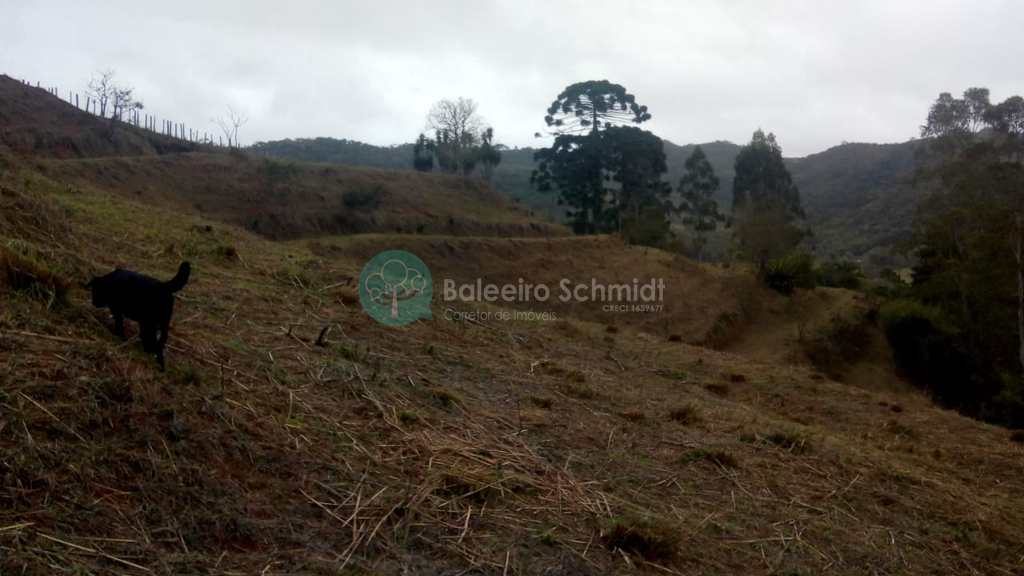 Sítio em Santo Antônio do Pinhal, no bairro Proximo Ao Centro