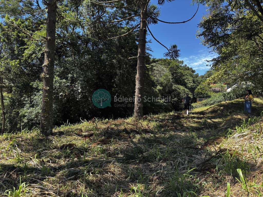 Terreno de Condomínio em Santo Antônio do Pinhal, no bairro Condomínio Parque da Mantiqueira