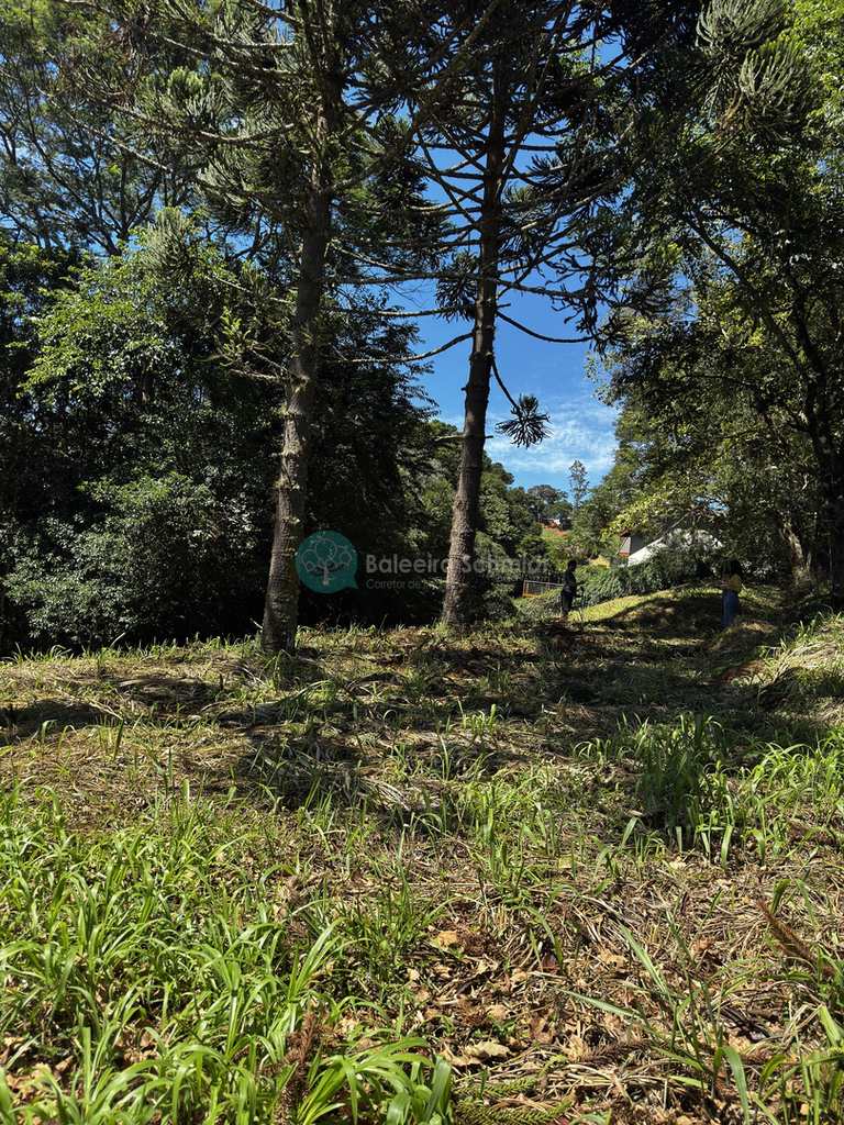 Terreno de Condomínio em Santo Antônio do Pinhal, no bairro Condomínio Parque da Mantiqueira
