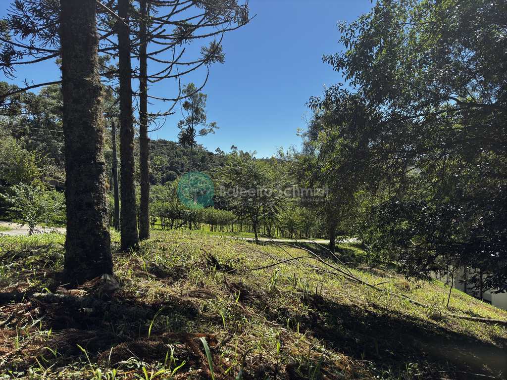 Terreno de Condomínio em Santo Antônio do Pinhal, no bairro Condomínio Parque da Mantiqueira