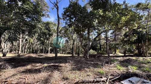 Terreno, código 1148 em Santo Antônio do Pinhal, bairro Proximo Ao Centro