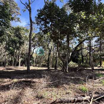 Terreno em Santo Antônio do Pinhal, bairro Proximo Ao Centro