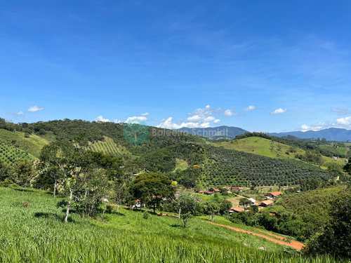 Terreno Rural, código 1157 em Santo Antônio do Pinhal, bairro Zona Rural
