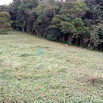 Terreno em Santo Antônio do Pinhal, bairro Aproxi 10 Km do Centro