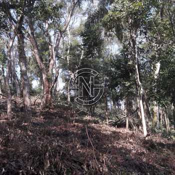 Terreno Rural em Pedro de Toledo, bairro Centro