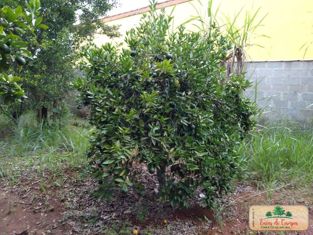 Chácara em Ibiúna, no bairro Centro