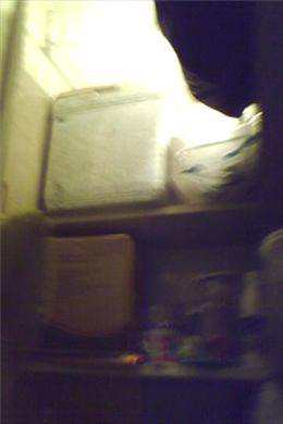 Apartamento em Santos, no bairro José Menino