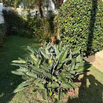 Casa em São Paulo, bairro Jardim Londrina