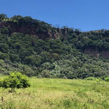 Terreno Rural em São Pedro, bairro Capim Fino