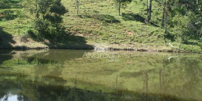 Sítio em Cambuí, no bairro Área Rural