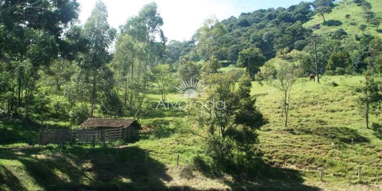 Sítio em Cambuí, no bairro Área Rural