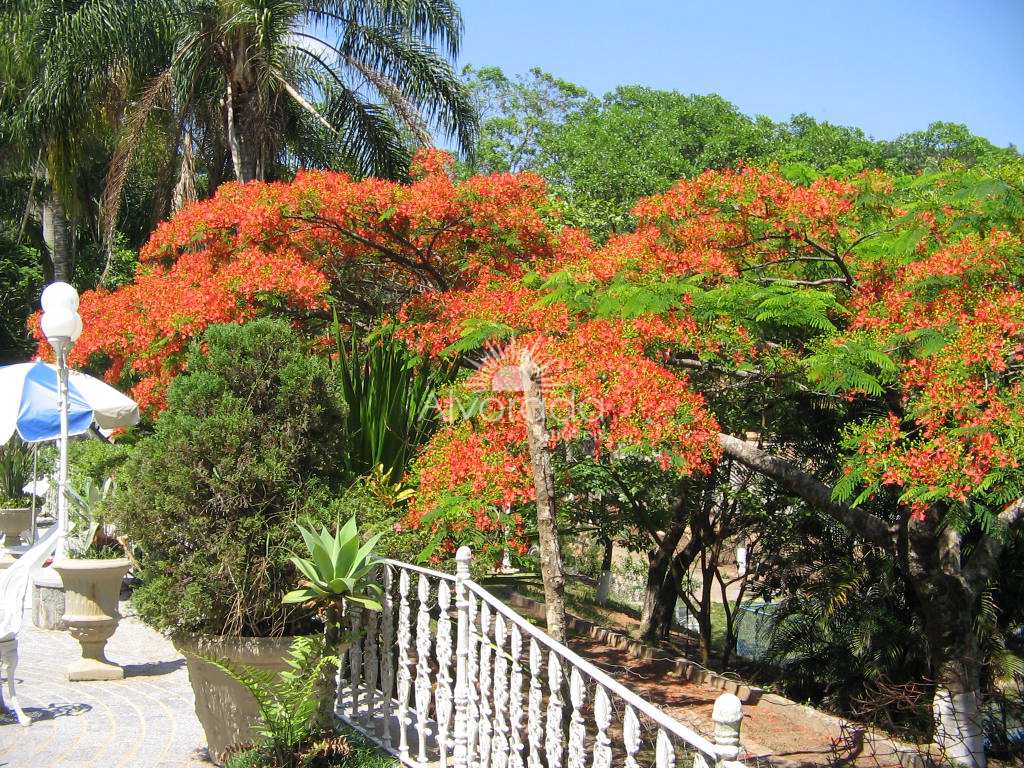 Casa de Condomínio em Valinhos, no bairro Nova Suiça I