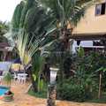 Casa em Ilhabela, bairro Feiticeira
