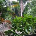 Casa em Ilhabela, bairro Feiticeira